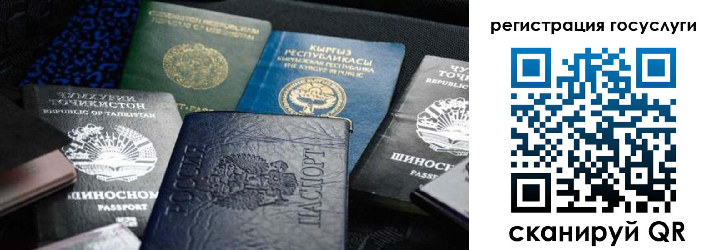 прописка поиск в Южно-Сахалинске